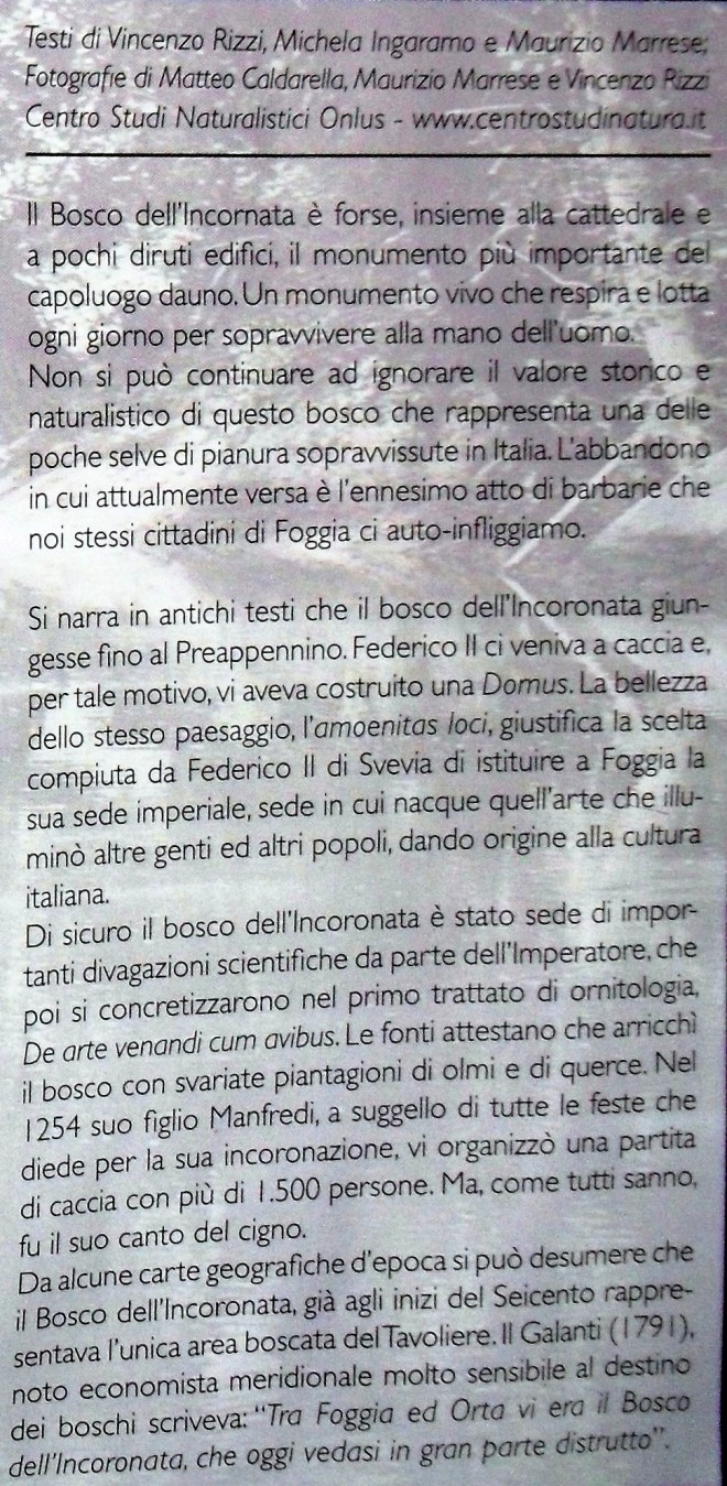 Il Bosco dell'Incoronata - Storia - pubblicato su TamTam marzo 2010